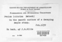 Image Associated With the Occurence